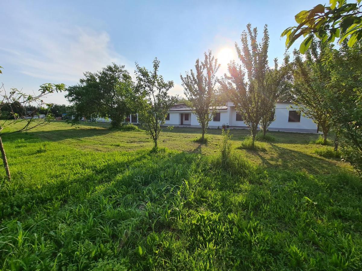 Agriturismo Ca Novak Venezia Villa Спинея Екстериор снимка